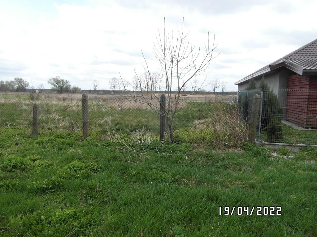 Działka rolno-budowlana Niedrzew Drugi. Zdjęcie 7