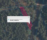 Działka leśna Borowiecko. Zdjęcie 1