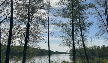 Działka rolna Zbójno