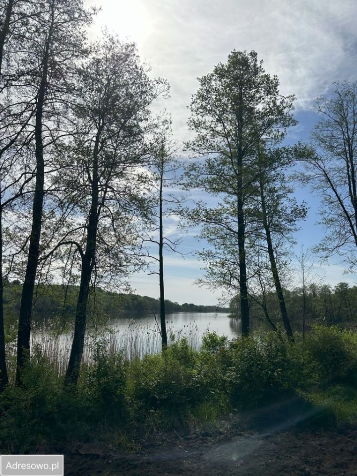 Działka rolna Zbójno. Zdjęcie 2