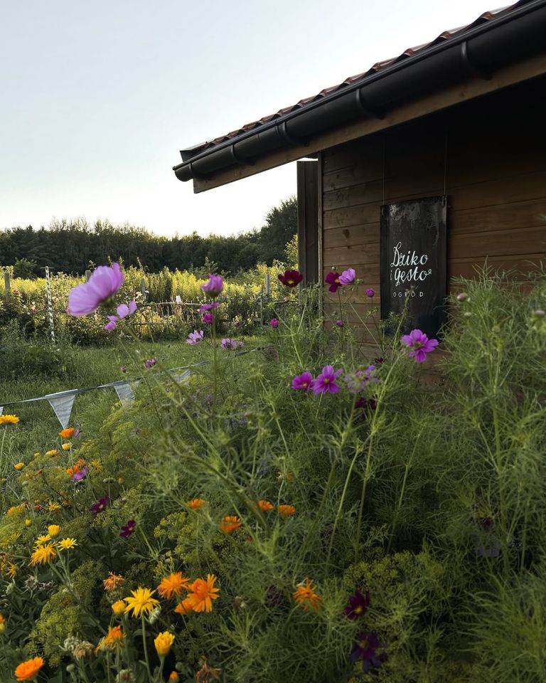 Działka budowlana Marszewo. Zdjęcie 6