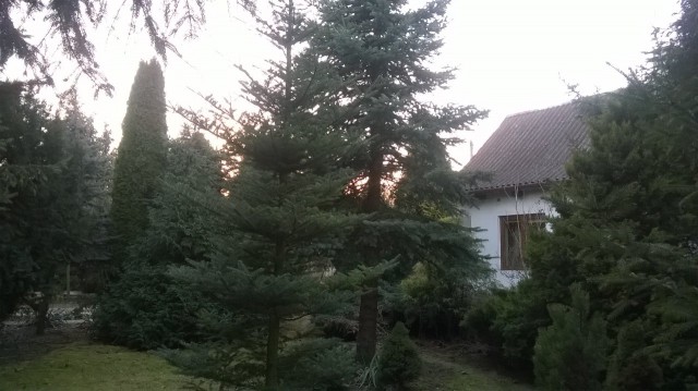 dom wolnostojący, 4 pokoje Wólka Tyrzyńska. Zdjęcie 1