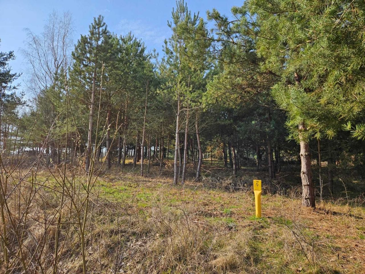 Działka budowlana Dziurów. Zdjęcie 2