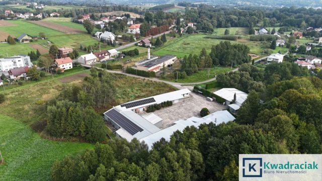 Lokal Brzozów. Zdjęcie 3