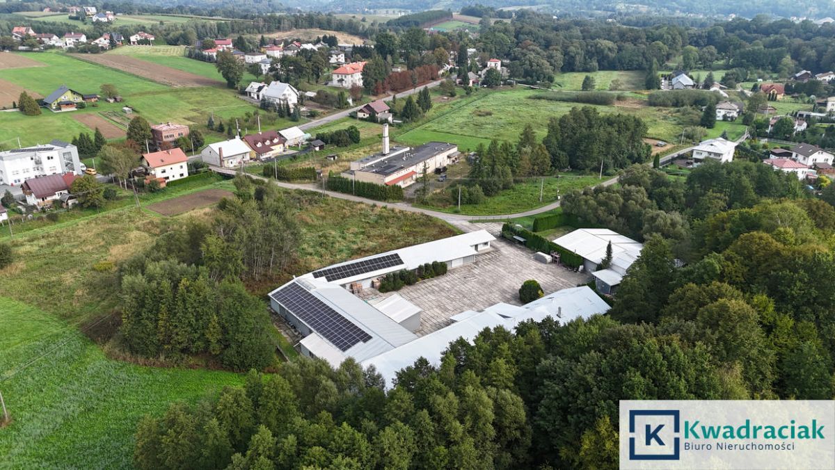 Lokal Brzozów. Zdjęcie 3