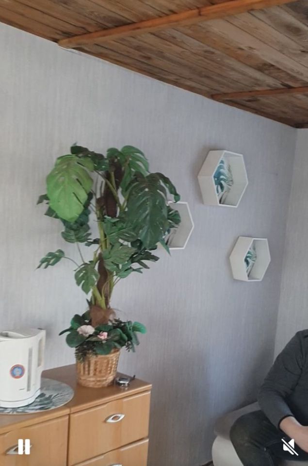 Działka rod Rumia, ul. Kosynierów. Zdjęcie 5