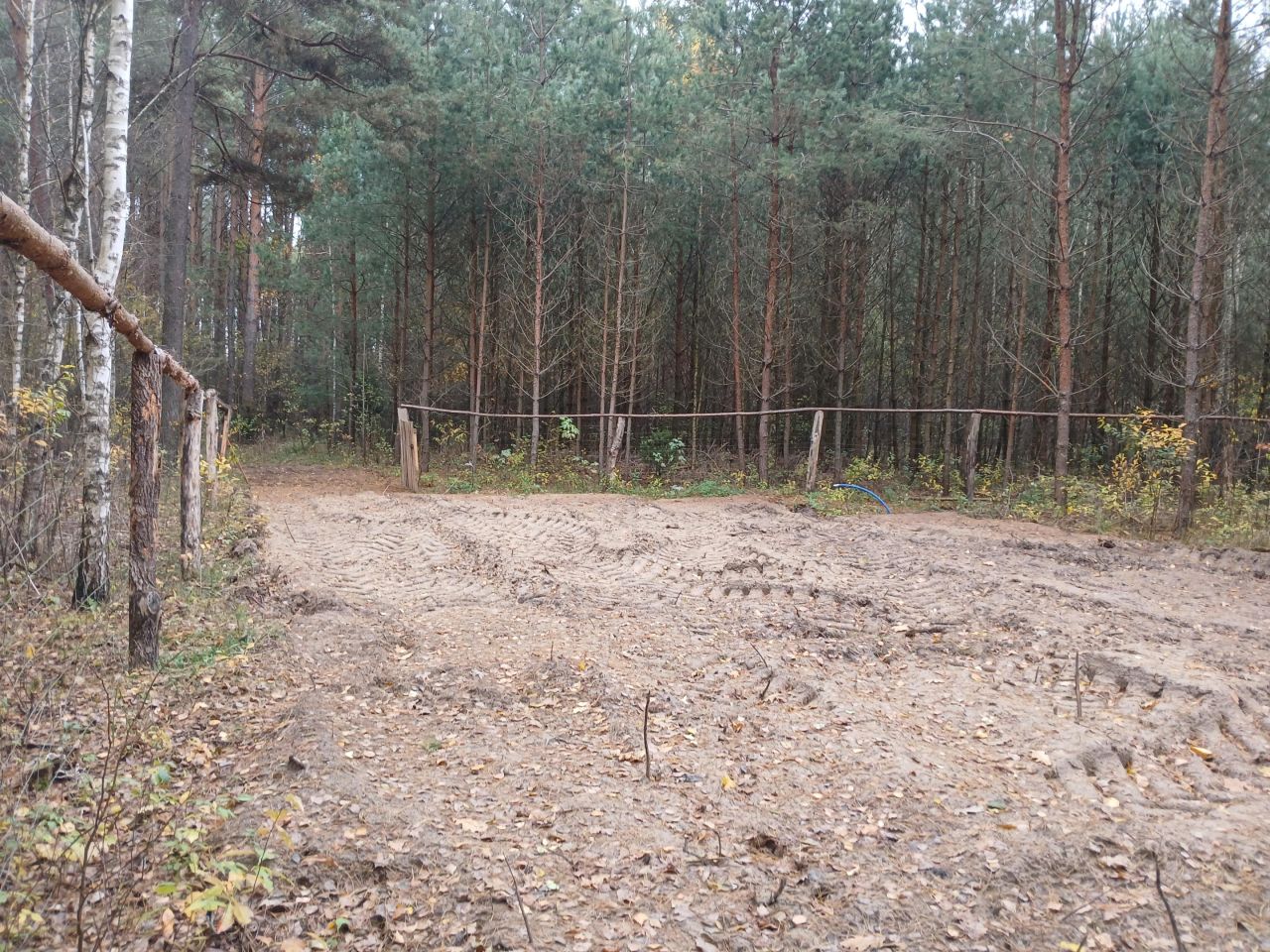 Działka leśna Jankowo-Młodzianowo. Zdjęcie 7