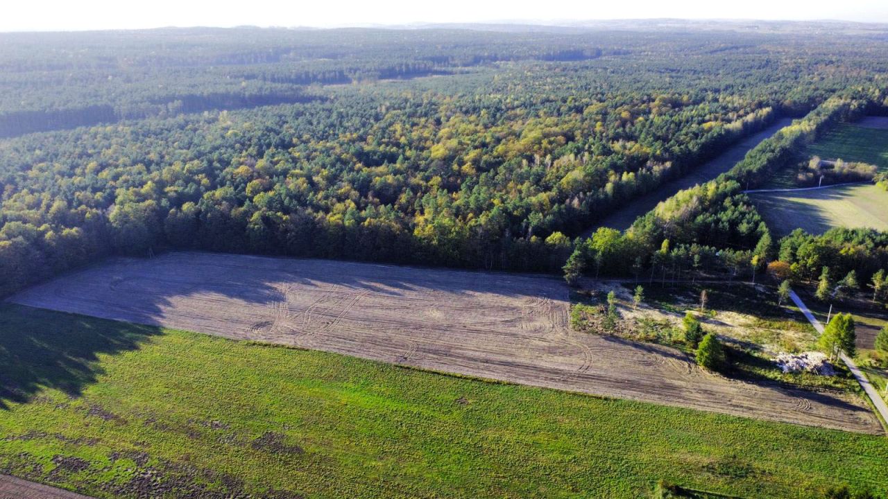 Działka budowlana Ołudza. Zdjęcie 3