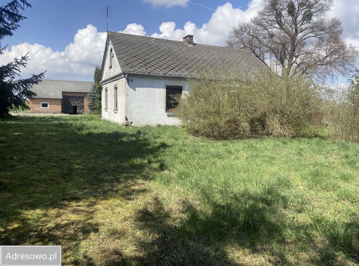 Działka rolna Przybysławice. Zdjęcie 2