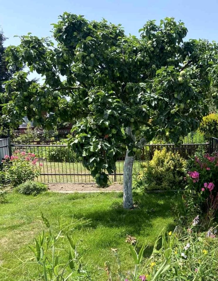 Działka rod Białystok Wygoda, ul. Krzysztofa Pendereckiego. Zdjęcie 8