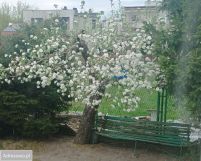 Mieszkanie 3-pokojowe Wałcz, ul. Żeromskiego. Zdjęcie 2