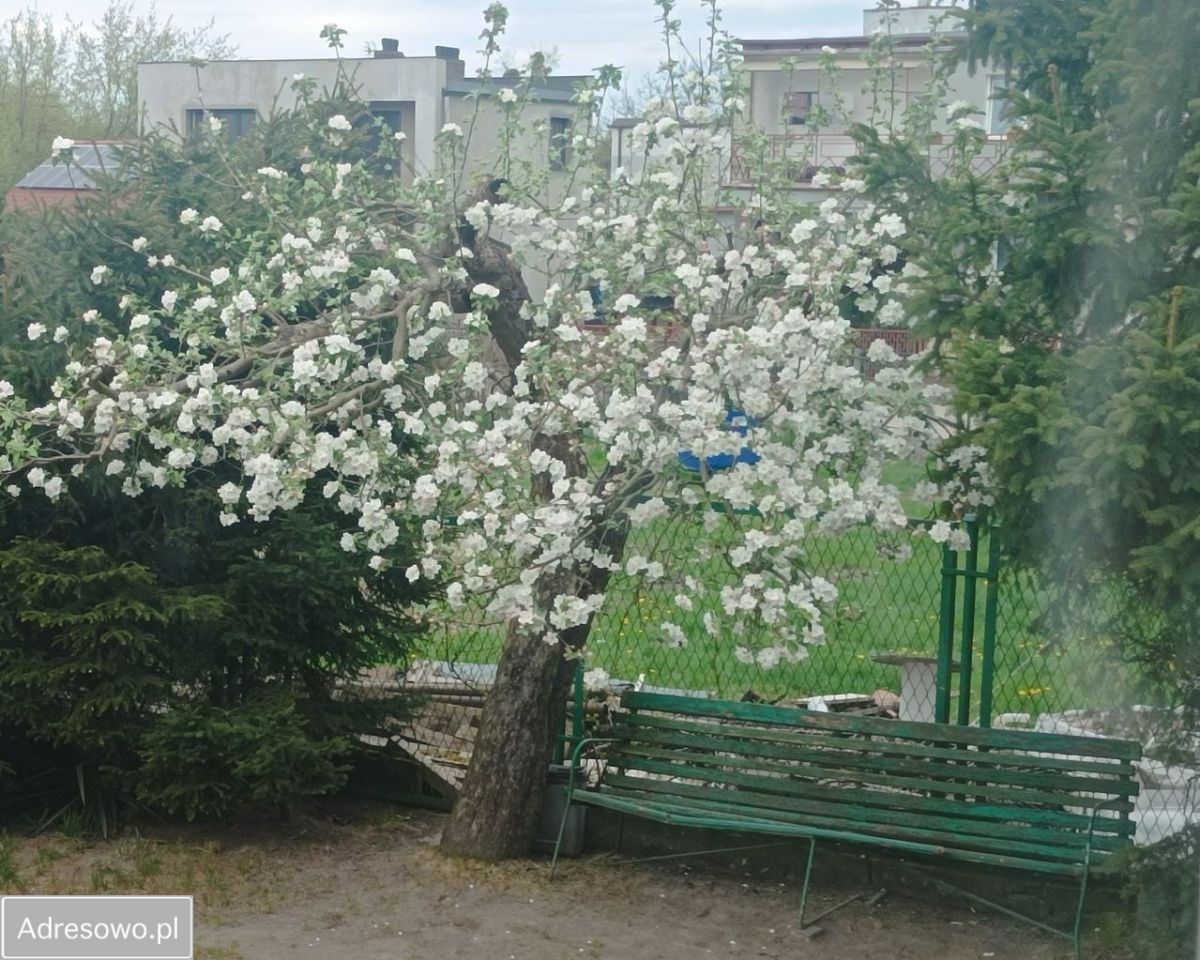 Mieszkanie 3-pokojowe Wałcz, ul. Żeromskiego. Zdjęcie 3