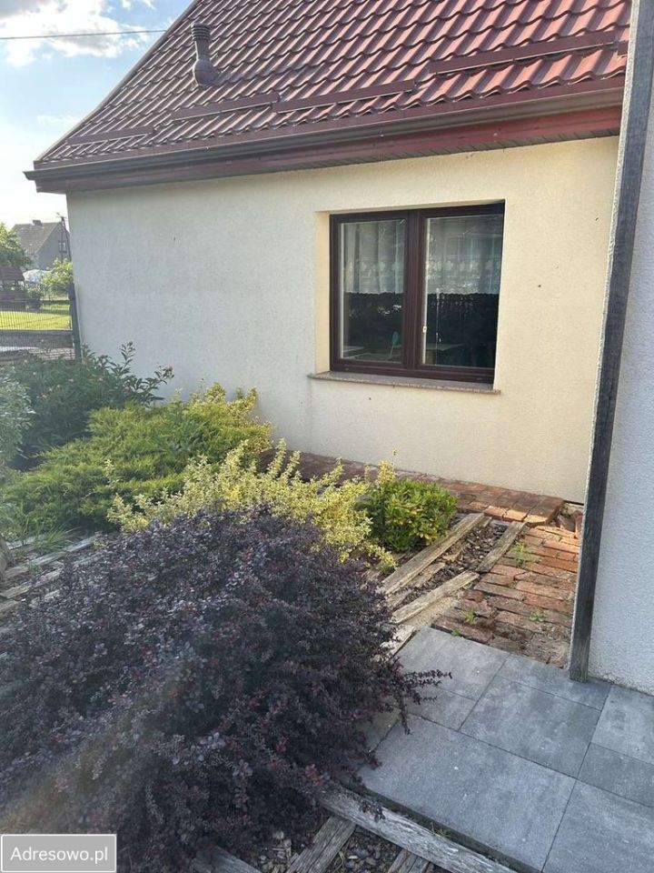 dom wolnostojący, 5 pokoi Drzewiany. Zdjęcie 16