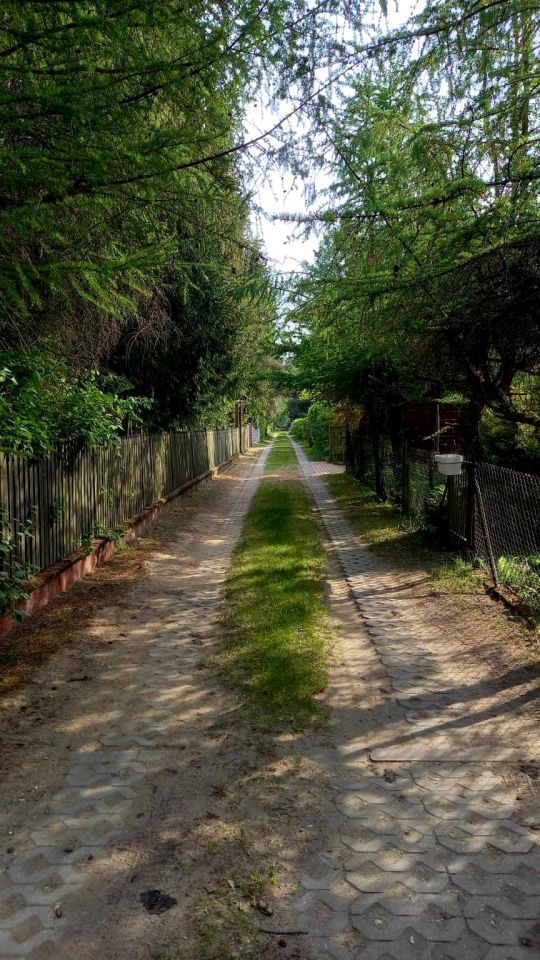 Działka rod Niewodnica Kościelna, ul. Działkowców. Zdjęcie 9