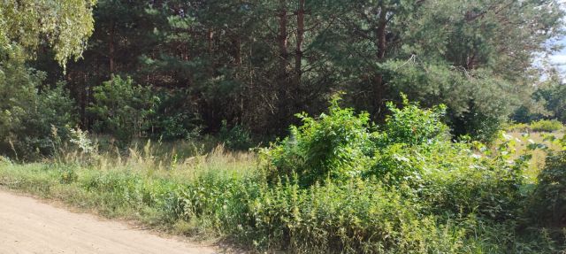 Działka rolna Ludwinowo. Zdjęcie 1