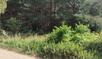 Działka rolna Ludwinowo