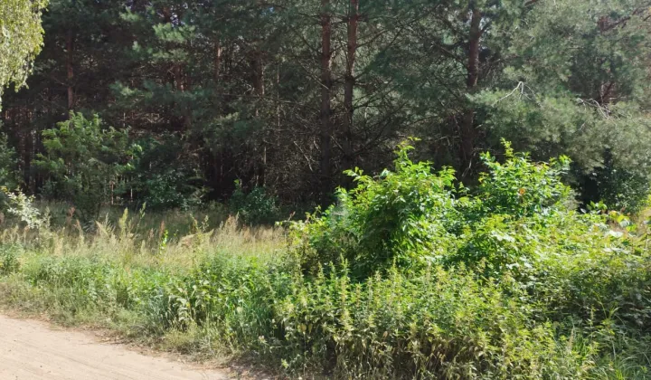 Działka rolna Ludwinowo