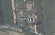 Działka budowlana Panieńszczyzna. Zdjęcie 1