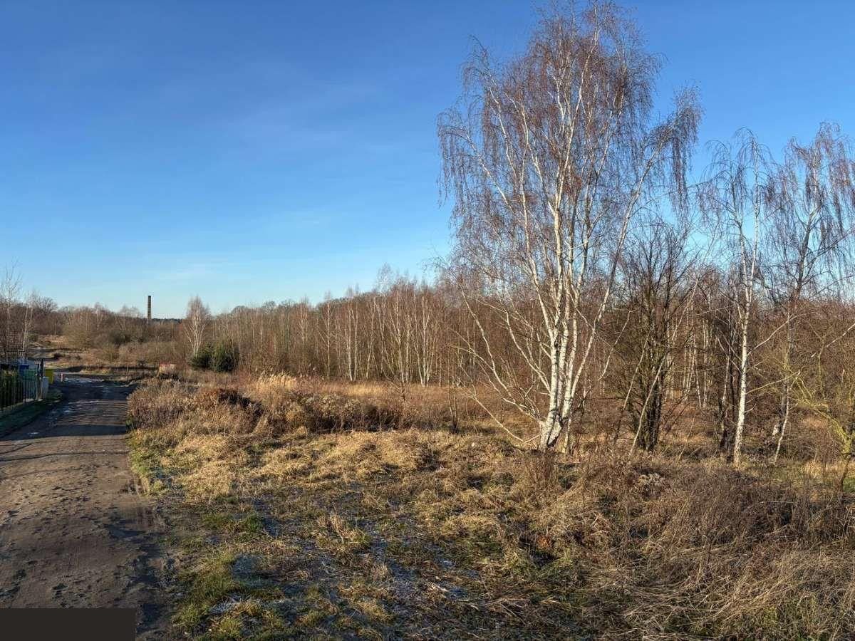 Działka budowlana Lubsko, ul. Jarzębinowa. Zdjęcie 7