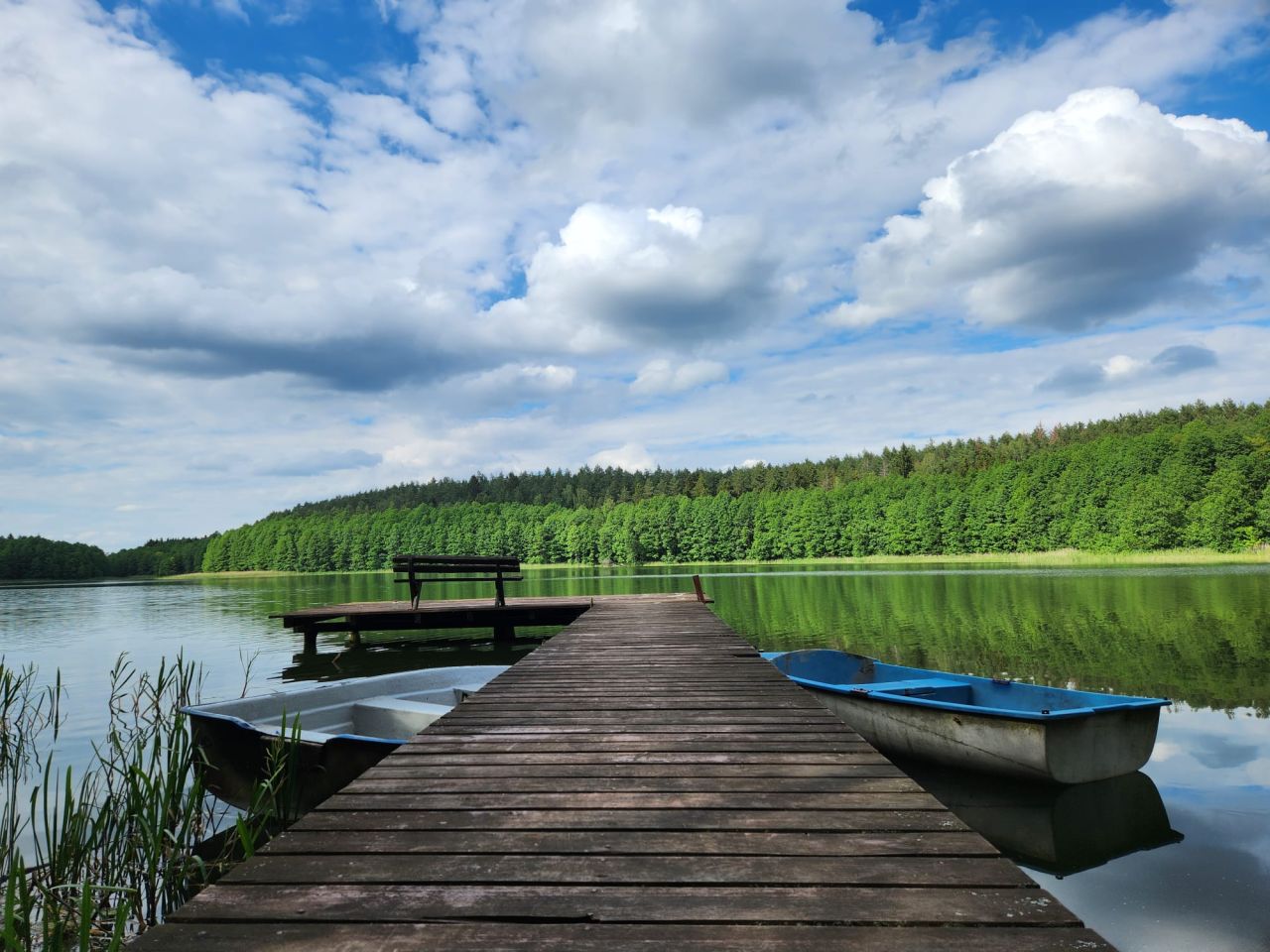 Działka rolno-budowlana Krawno. Zdjęcie 8