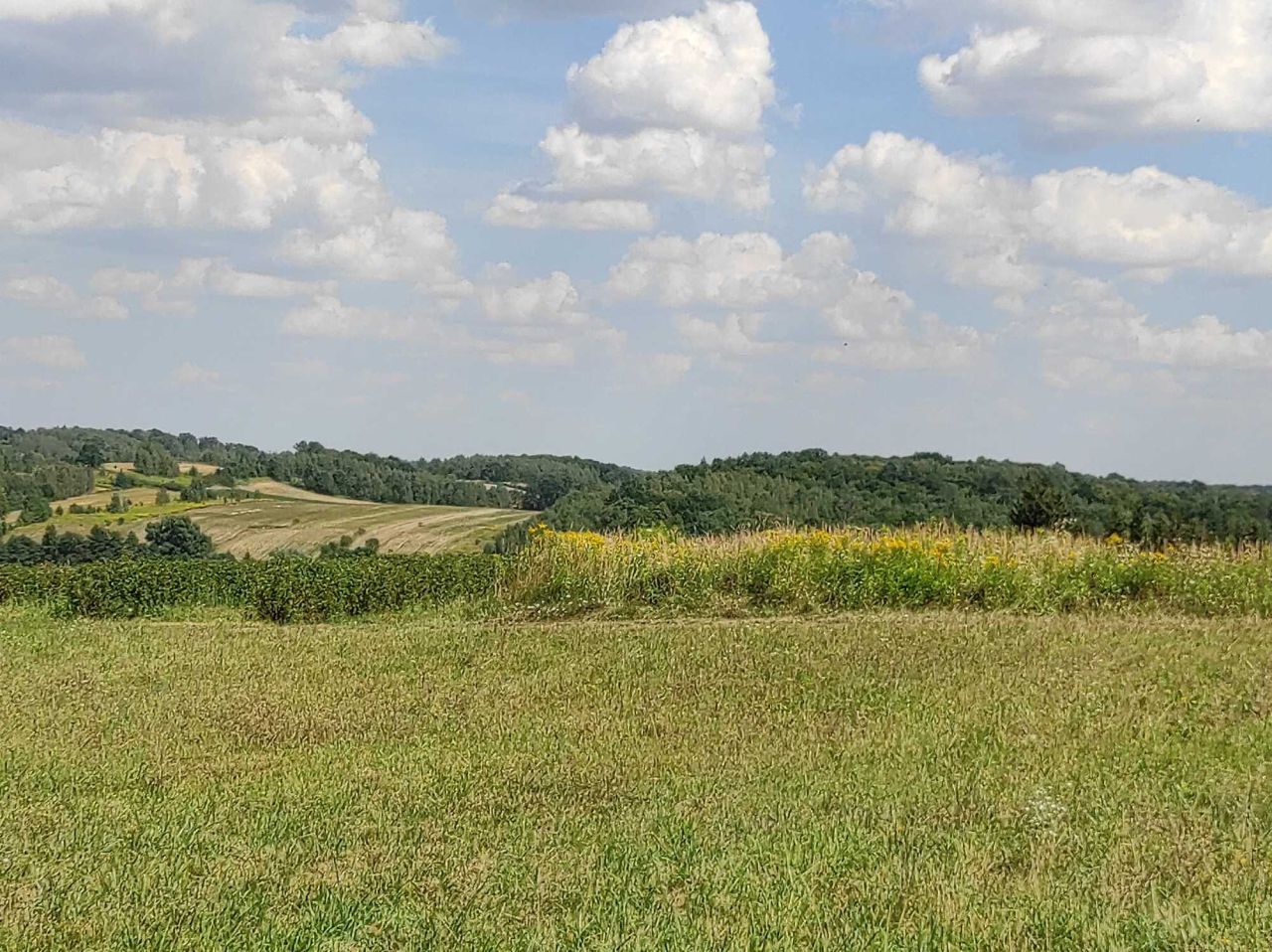 Działka rolna Rąblów. Zdjęcie 3