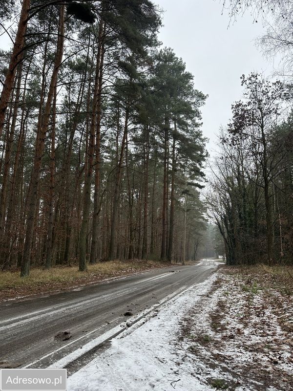 dom wolnostojący, 6 pokoi Oćwieka. Zdjęcie 19