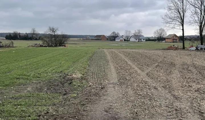 Działka budowlana Brzeźno, ul. Długa