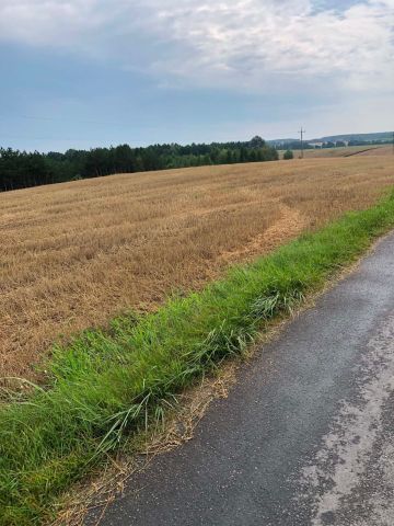 Działka rolna Topólka. Zdjęcie 1