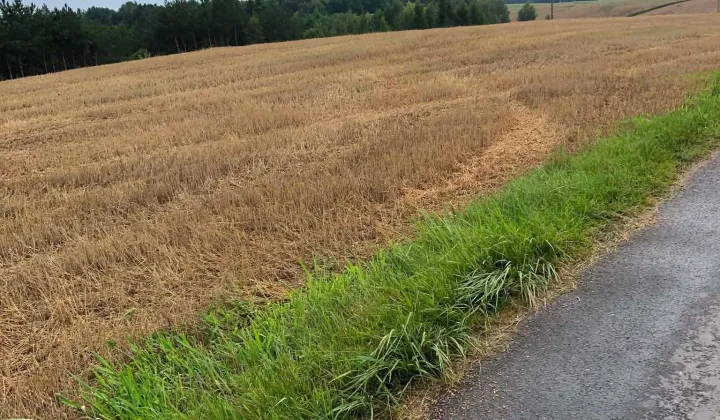 Działka rolna Topólka