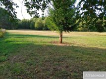 Działka rolna Polanki. Zdjęcie 1