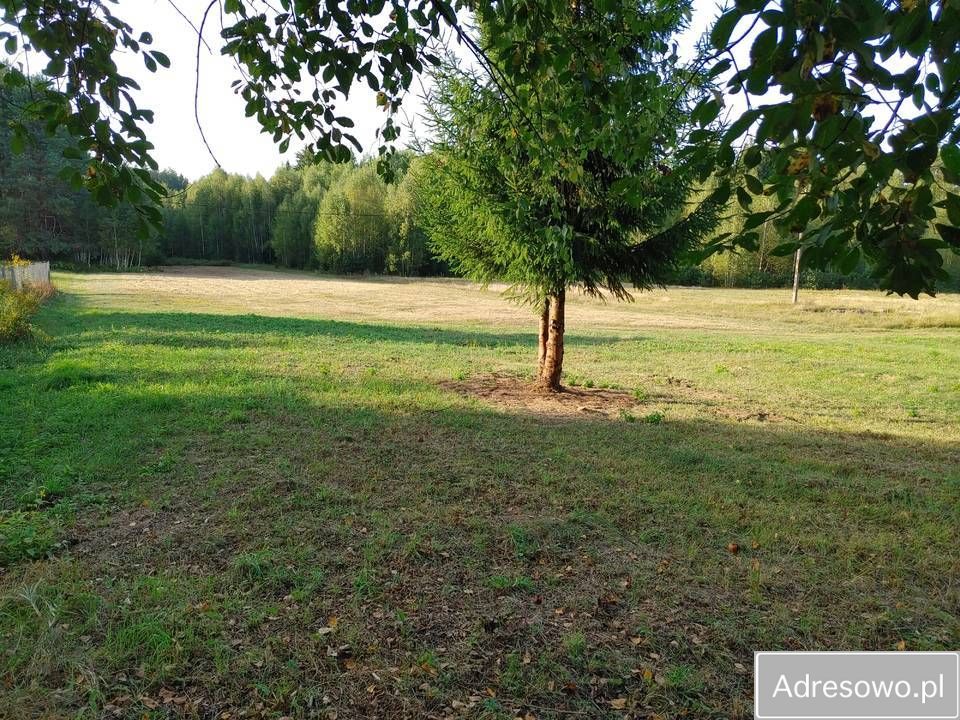 Działka rolna Polanki. Zdjęcie 2