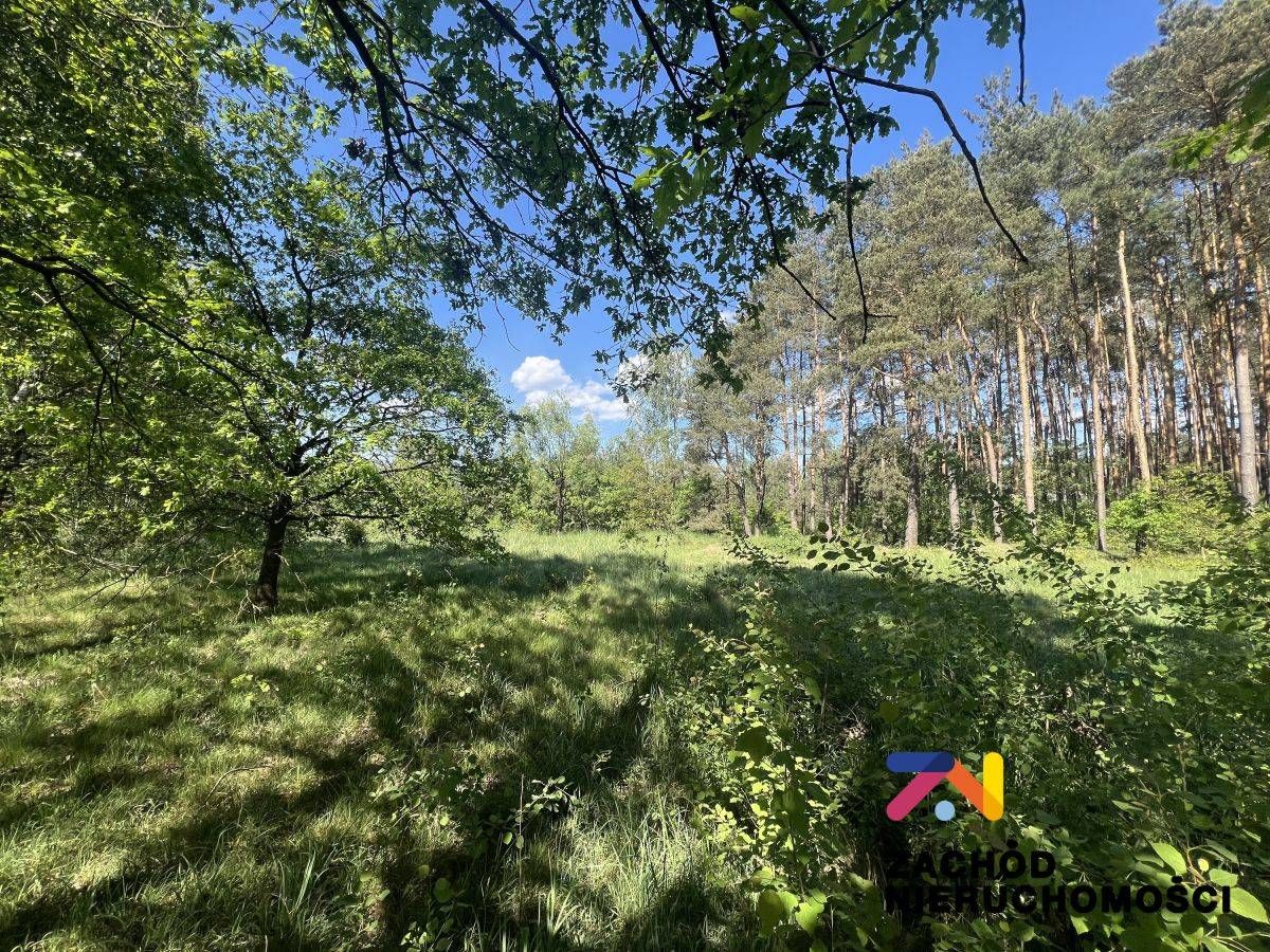 Działka budowlana Zielona Góra Ochla, ul. Ochla-Osiedlowa