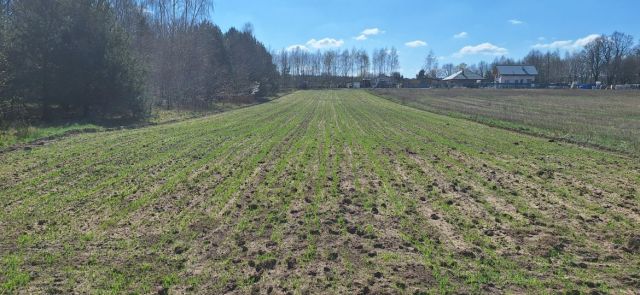 Działka rolno-budowlana Siemkowice, ul. Częstochowska. Zdjęcie 1