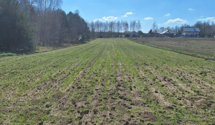 Działka rolno-budowlana Siemkowice, ul. Częstochowska