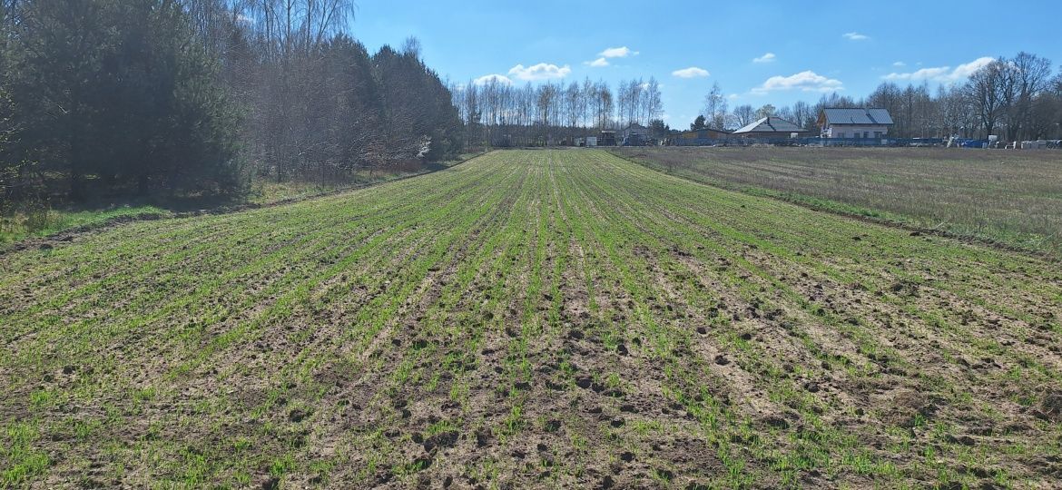 Działka rolno-budowlana Siemkowice, ul. Częstochowska