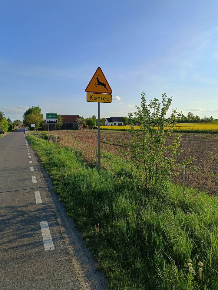 Działka budowlana Kuchary, ul. Mstowska. Zdjęcie 2