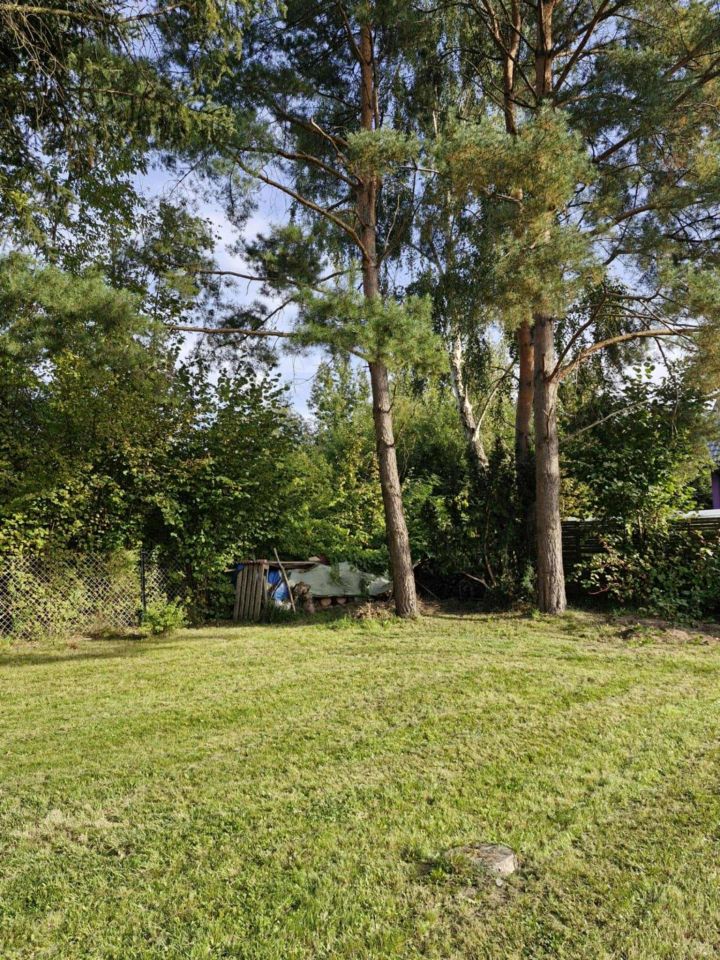 Działka budowlana Rynia. Zdjęcie 6