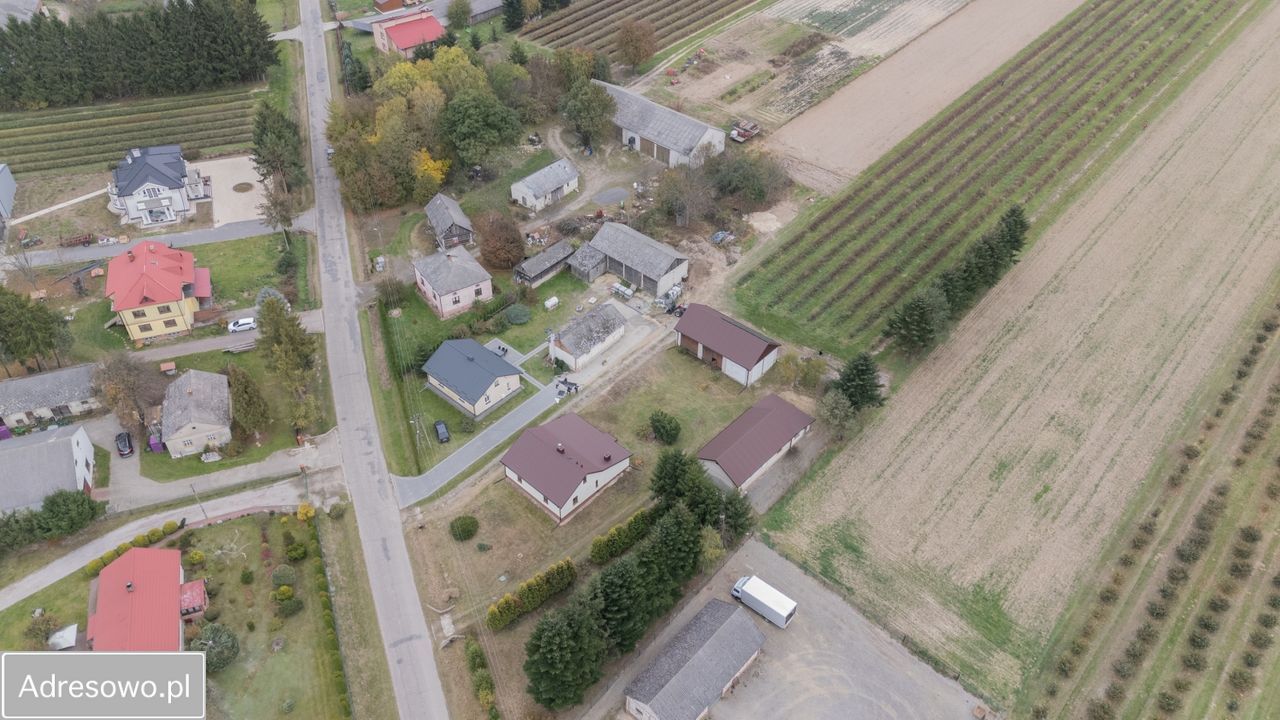 siedlisko Ksawerówka. Zdjęcie 6