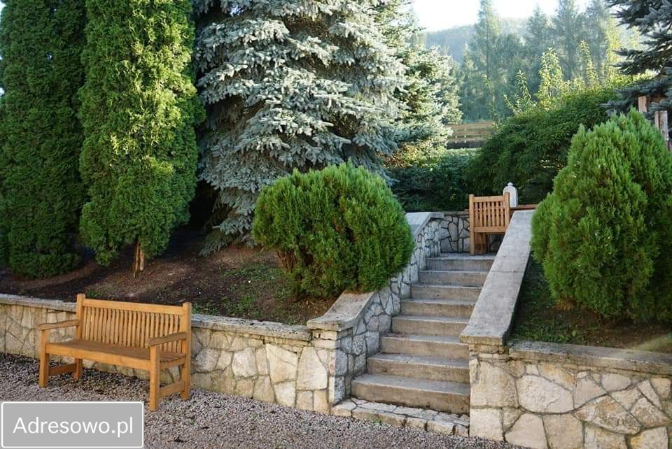 dom wolnostojący, 6 pokoi Czerna. Zdjęcie 6