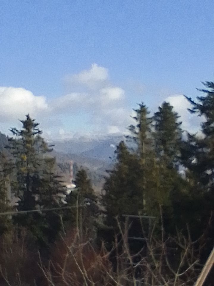 dom wolnostojący, 8 pokoi Piwniczna-Zdrój Koszarzyska, Sucha Dolina. Zdjęcie 7