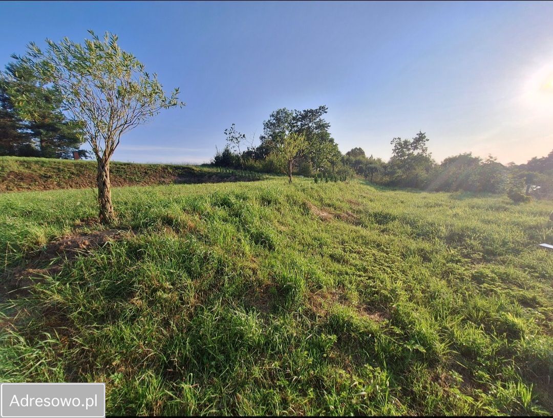 Działka rolno-budowlana Charbrowo. Zdjęcie 3