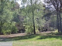 Działka Sierakówek. Zdjęcie 3
