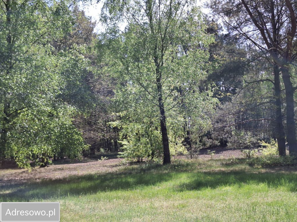 Działka Sierakówek. Zdjęcie 4