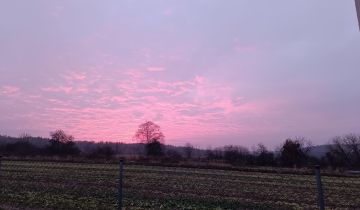 Działka budowlana Witoroż Zakożuch