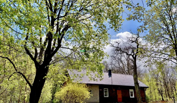 Działka budowlana Józefów