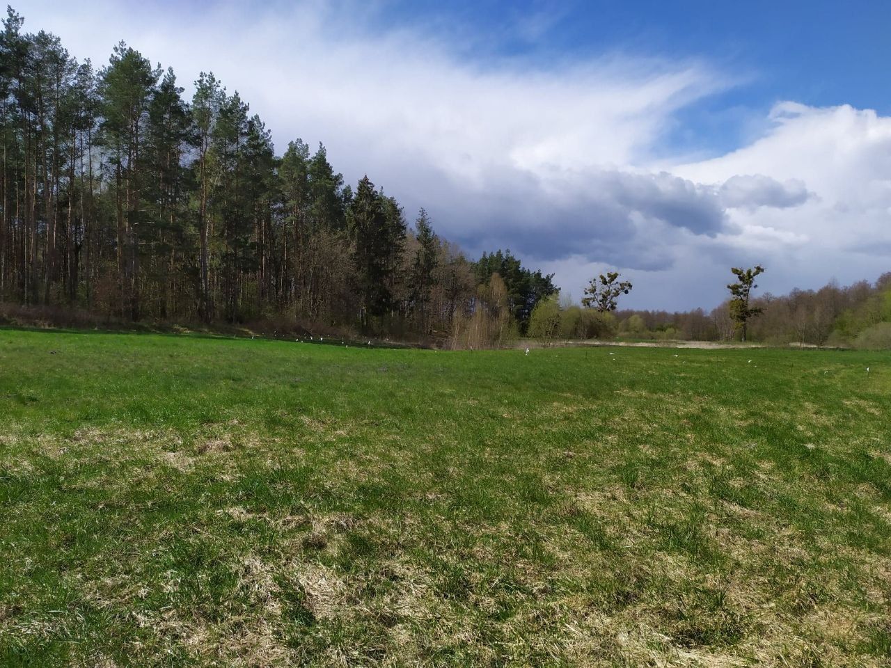 Działka budowlana Jałowiec, ul. Łąki. Zdjęcie 14