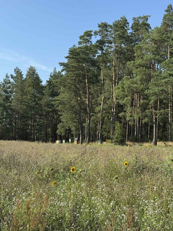 Działka rekreacyjna Golanka. Zdjęcie 3