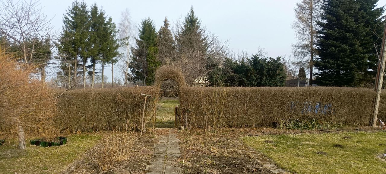 Działka rod Koszalin Lechitów, ul. Lechicka. Zdjęcie 3