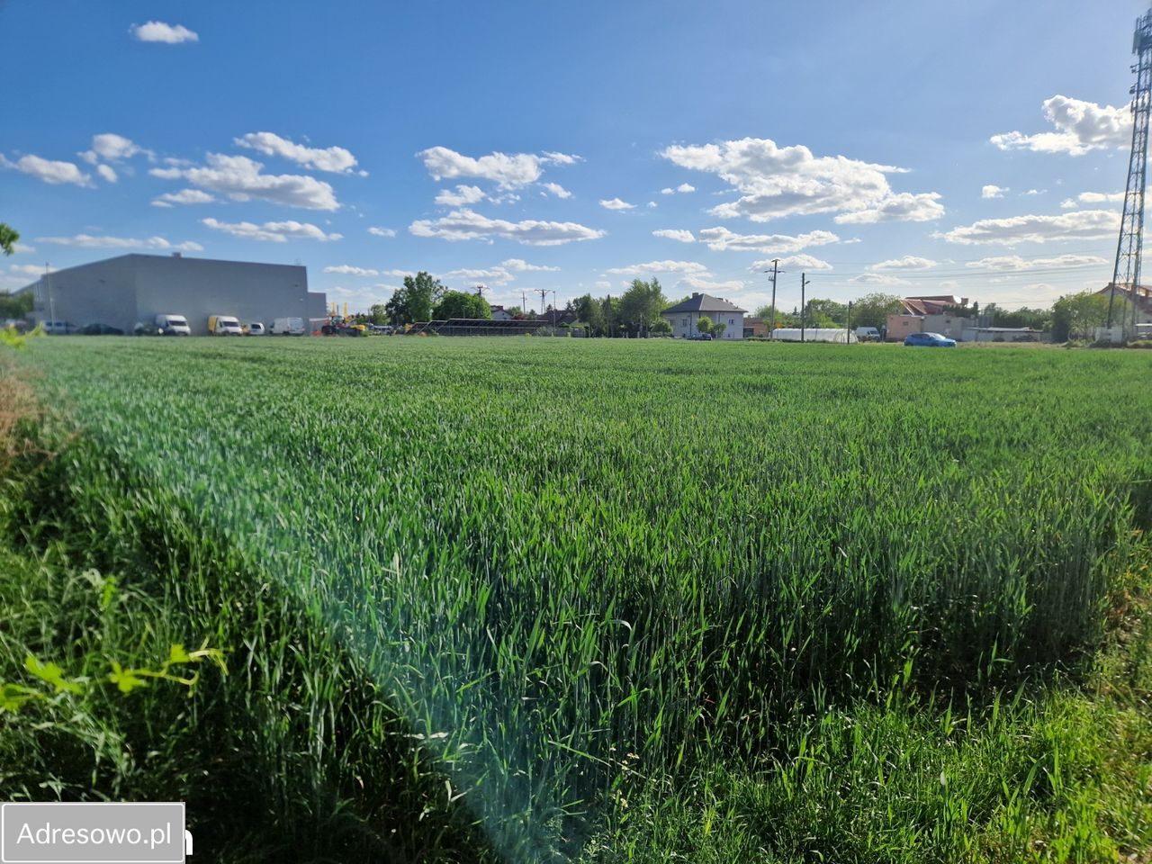 Działka inwestycyjna Ożarów Mazowiecki, ul. Umiastowska. Zdjęcie 2