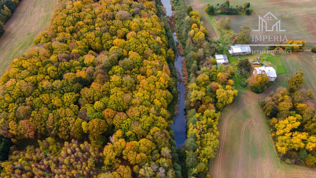 Działka rolna Biała Góra. Zdjęcie 11
